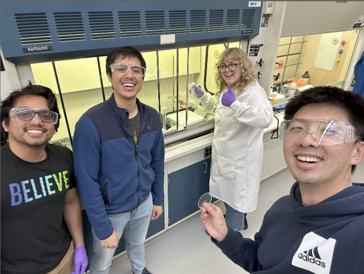 ChemFinity Technologies